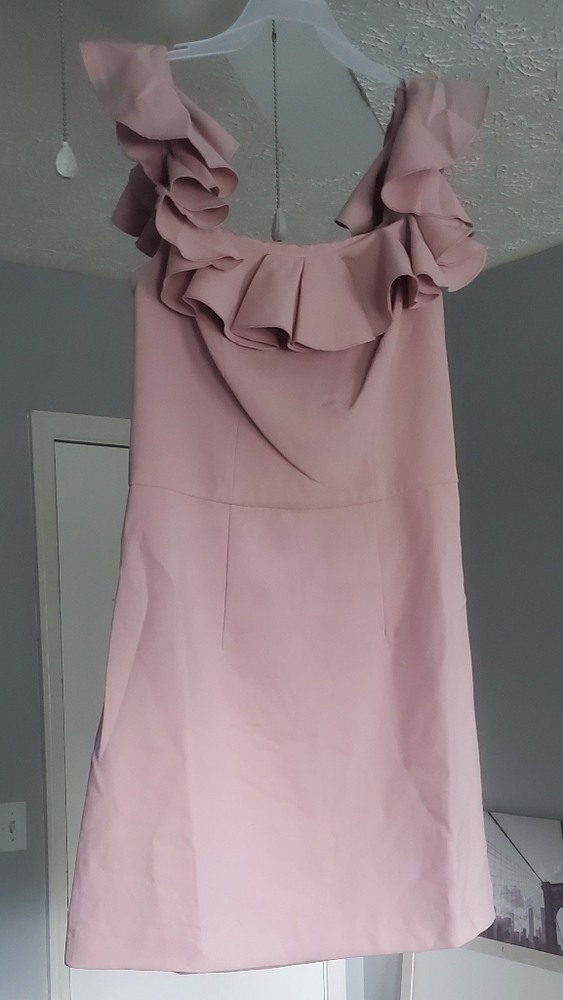 NWT dress by French Connection in size 4
